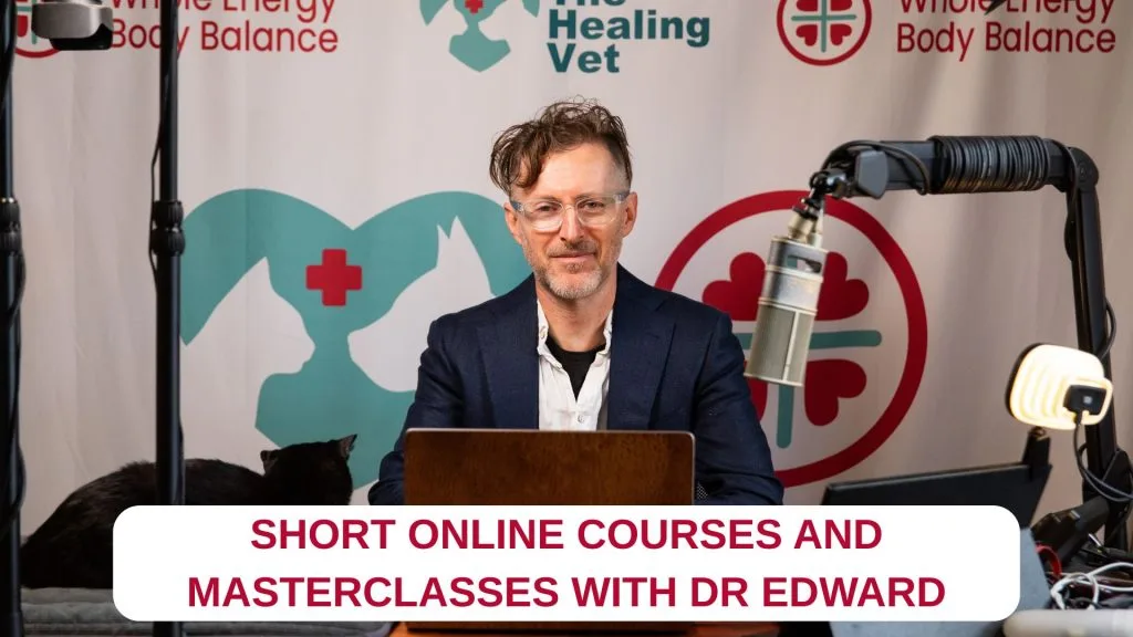 Short Courses & Masterclasses