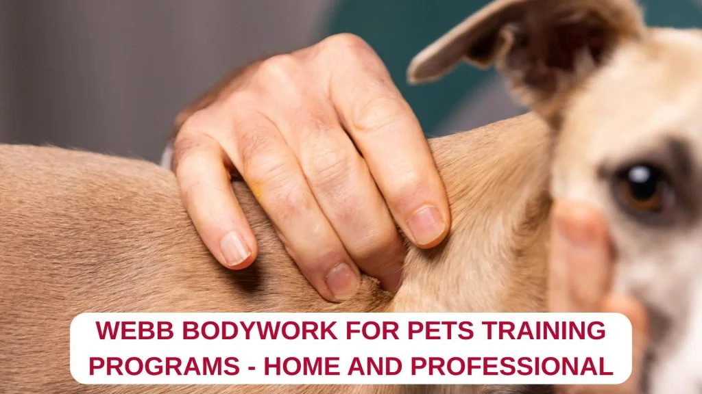 WEBB Bodywork for Pets