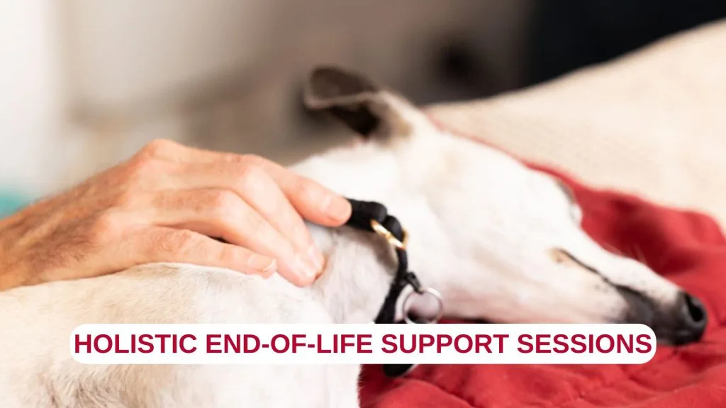 End of Life Support