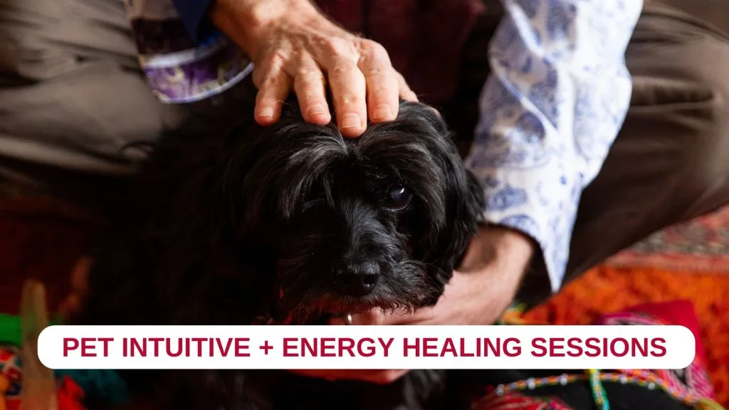 Intuitive / Energy Healing Appointments