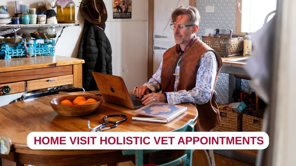 Home Visit Appointments