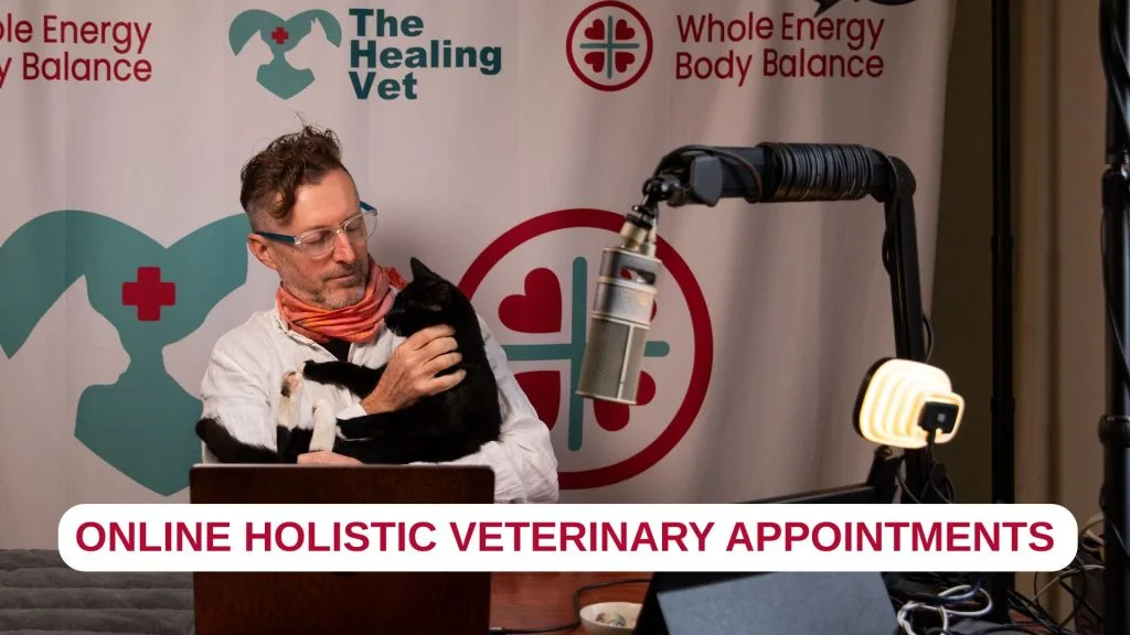 Online Holistic Vet Appointments