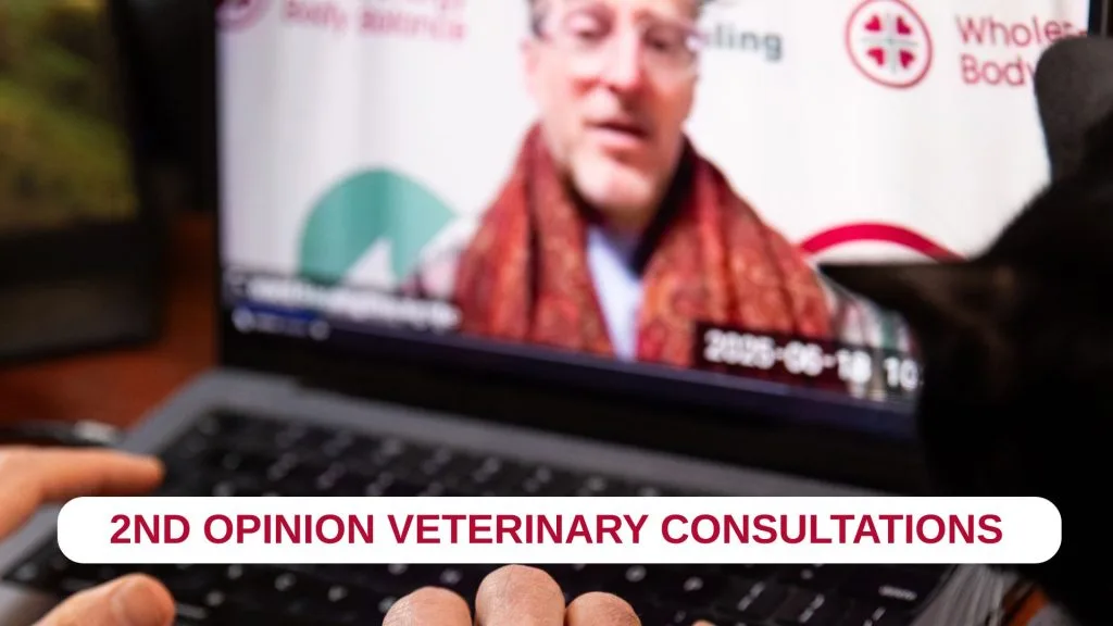 Second Opinion Consultations